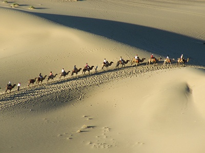 camile-si-calareti-animal-pasnic